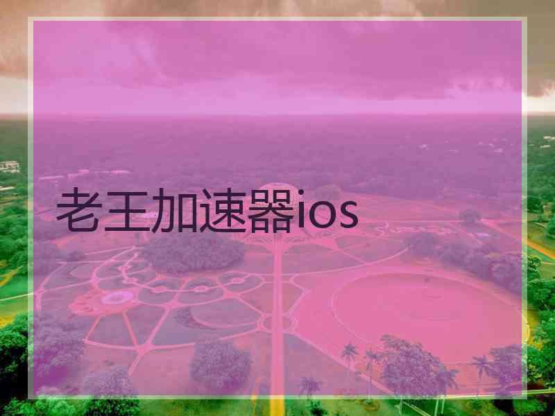 老王加速器ios