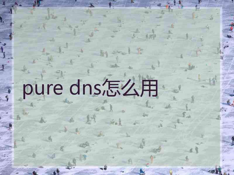 pure dns怎么用