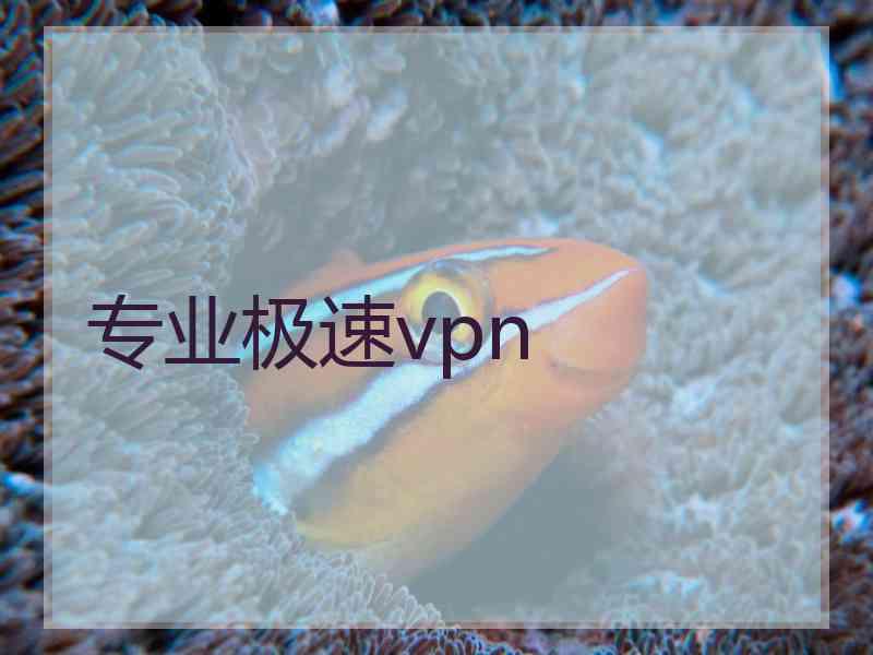 专业极速vpn