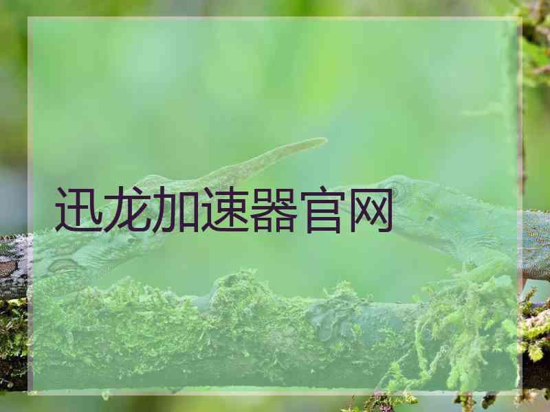 迅龙加速器官网