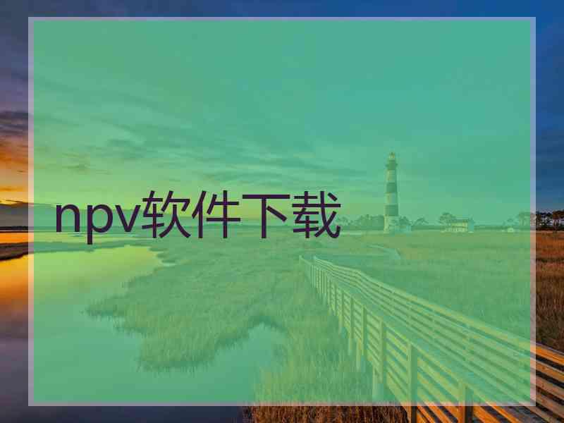 npv软件下载