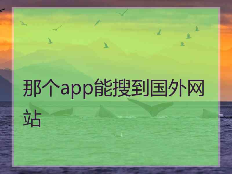 那个app能搜到国外网站