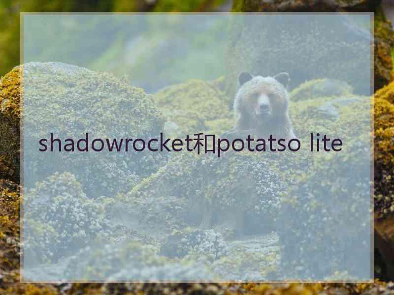 shadowrocket和potatso lite