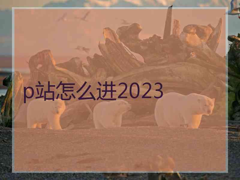 p站怎么进2023