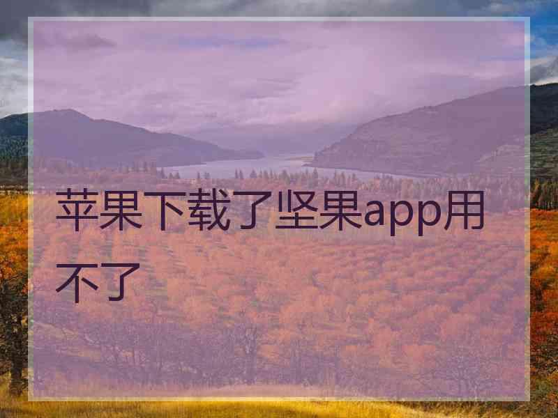 苹果下载了坚果app用不了