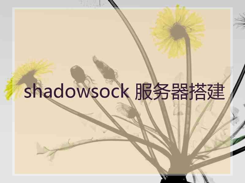 shadowsock 服务器搭建