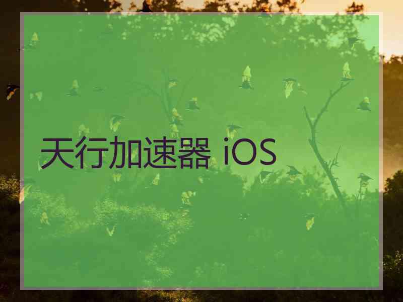 天行加速器 iOS