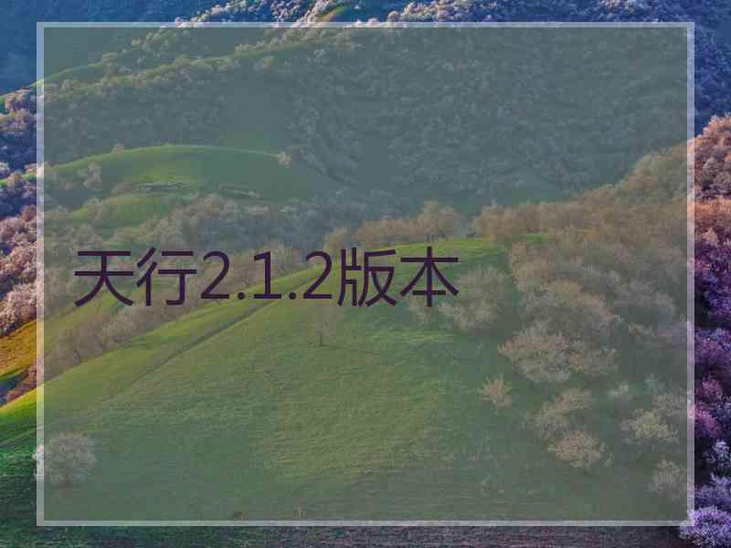 天行2.1.2版本