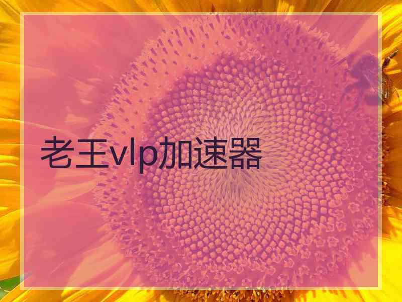 老王vlp加速器