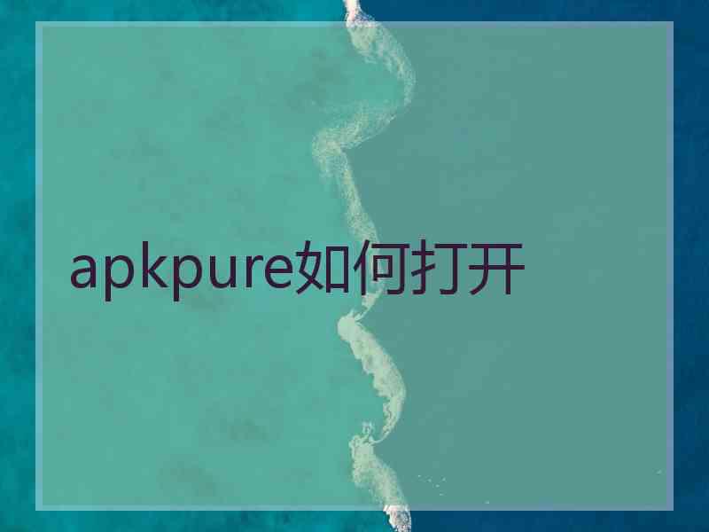 apkpure如何打开