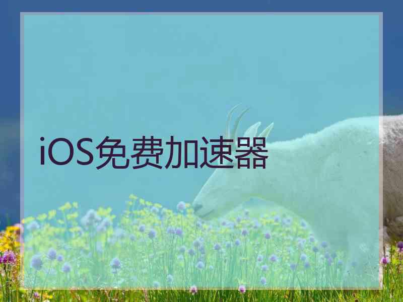 iOS免费加速器