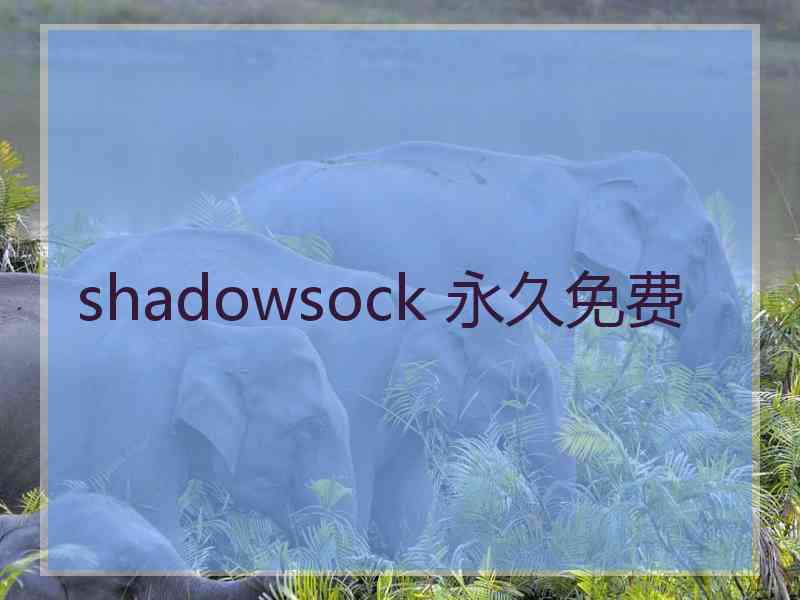 shadowsock 永久免费