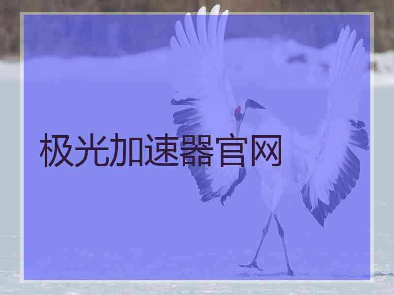 极光加速器官网