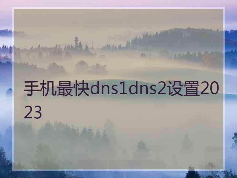 手机最快dns1dns2设置2023