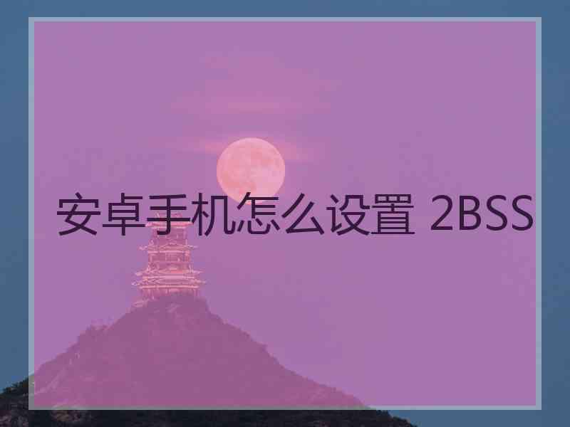 安卓手机怎么设置 2BSS