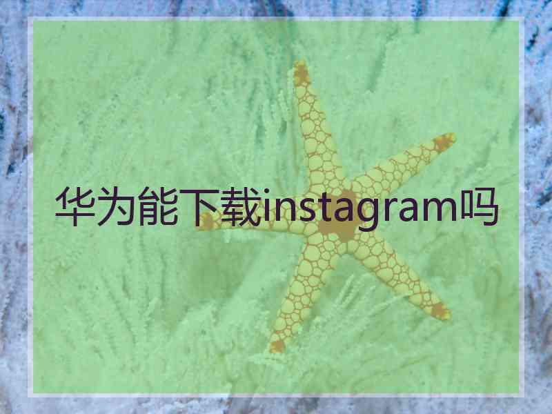 华为能下载instagram吗