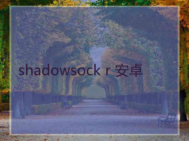 shadowsock r 安卓