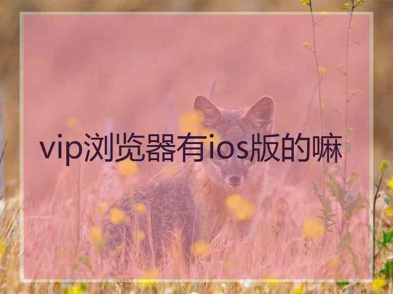 vip浏览器有ios版的嘛