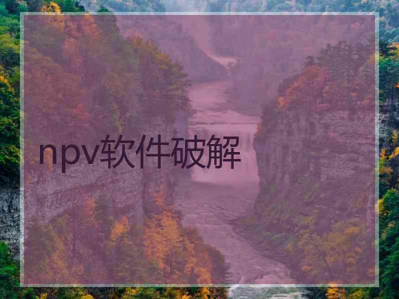 npv软件破解