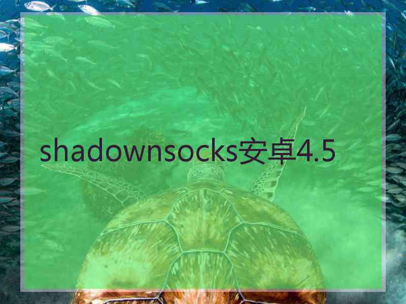 shadownsocks安卓4.5