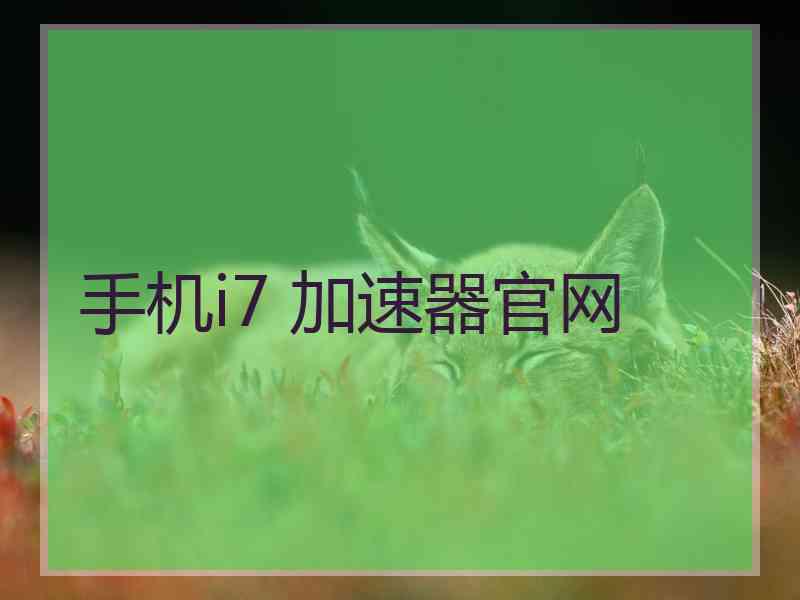 手机i7 加速器官网