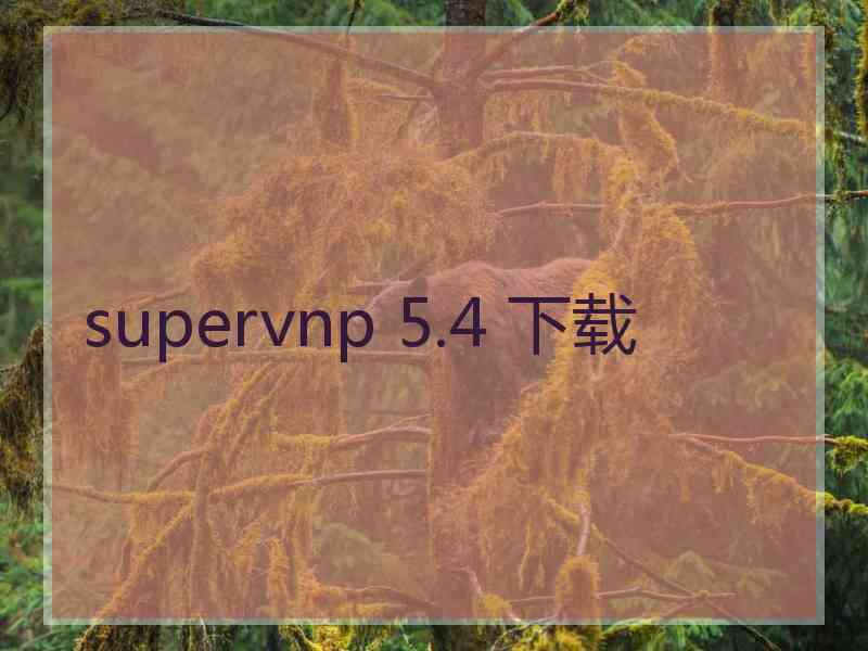 supervnp 5.4 下载