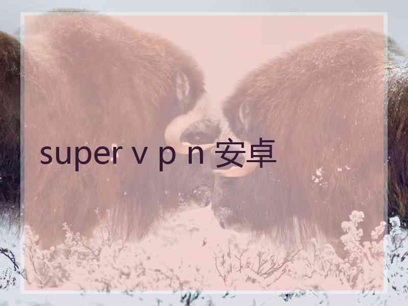 super v p n 安卓