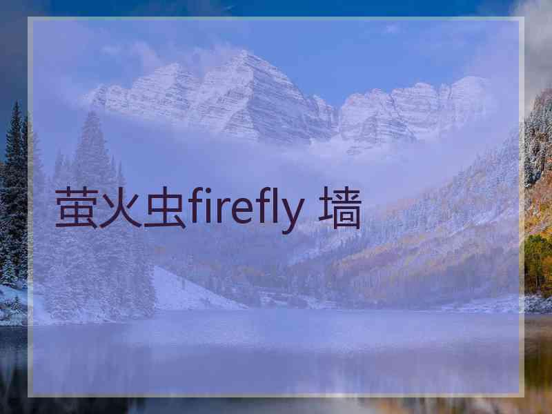 萤火虫firefly 墙