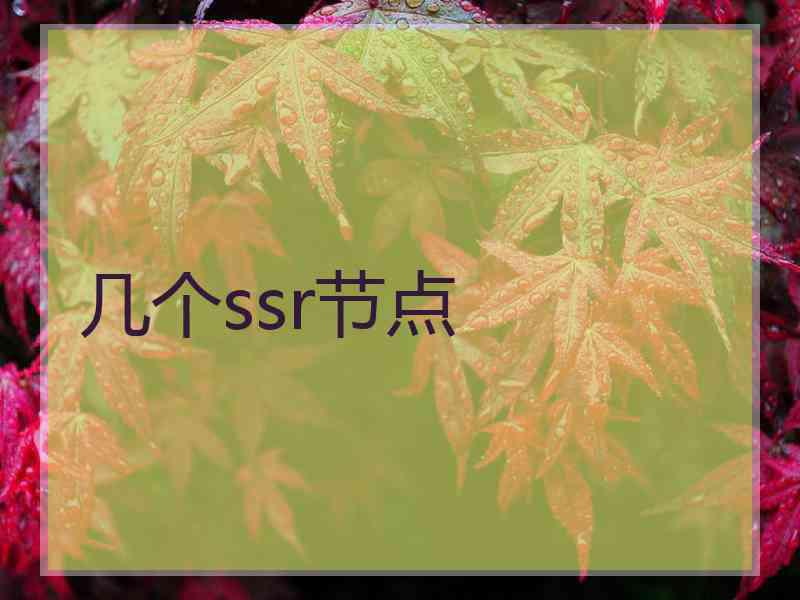 几个ssr节点