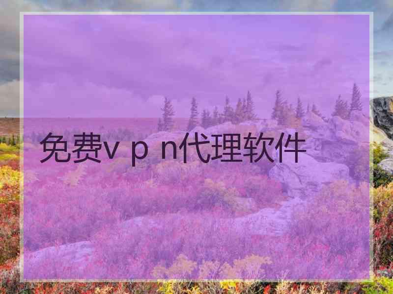 免费v p n代理软件