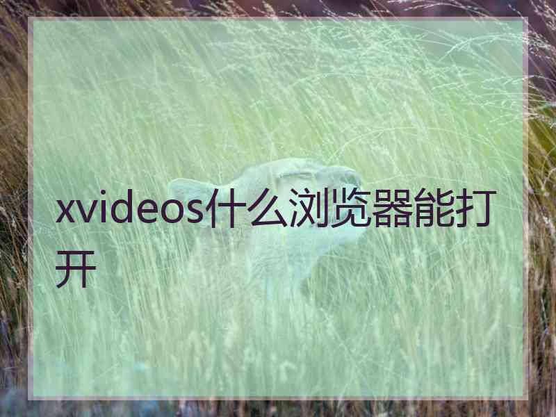 xvideos什么浏览器能打开