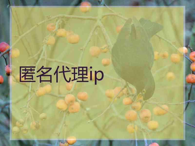 匿名代理ip