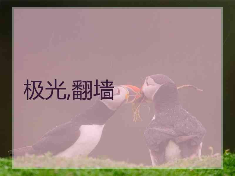 极光,翻墙