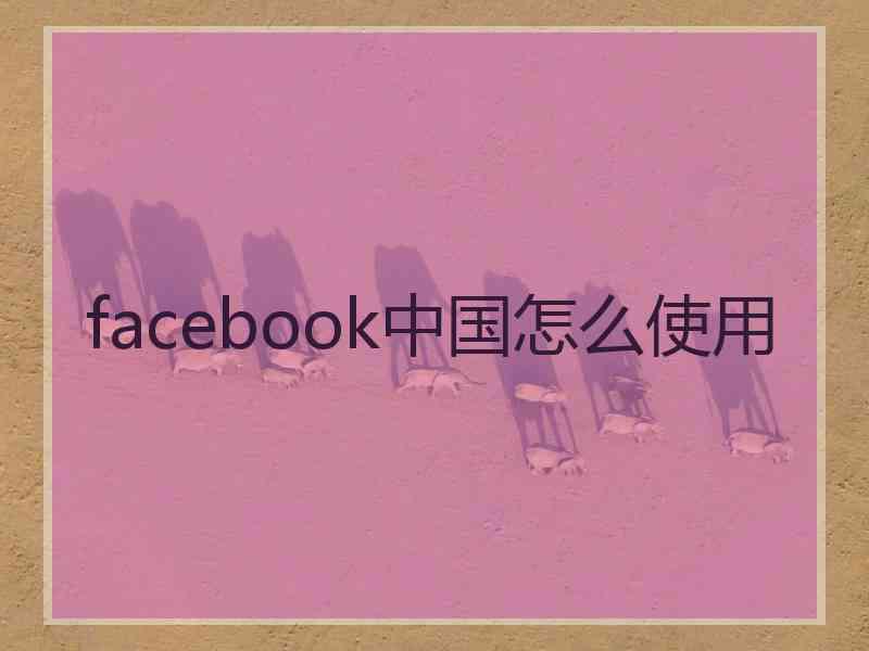 facebook中国怎么使用