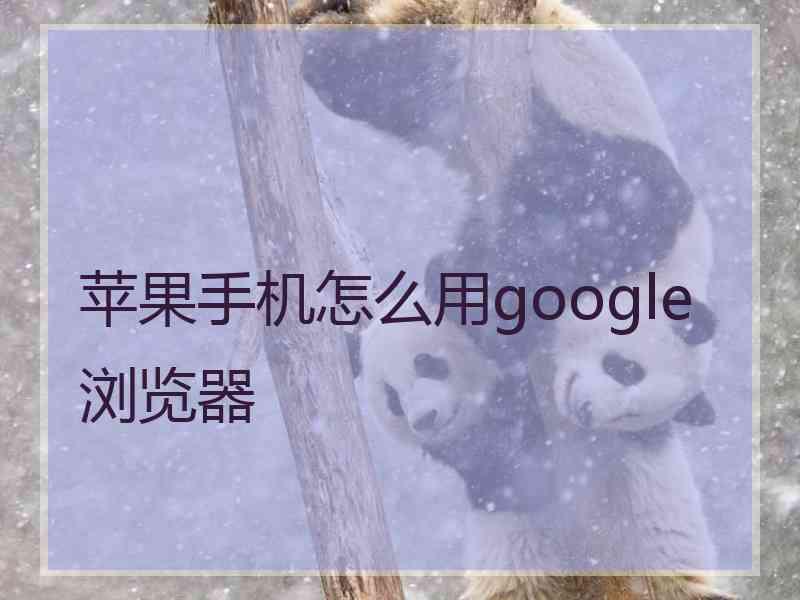 苹果手机怎么用google浏览器