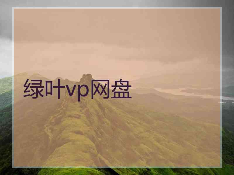 绿叶vp网盘