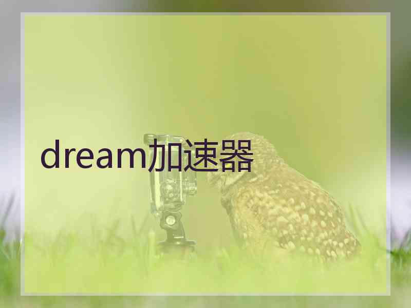 dream加速器