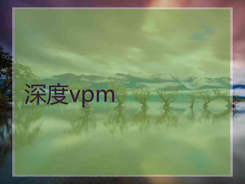 深度vpm