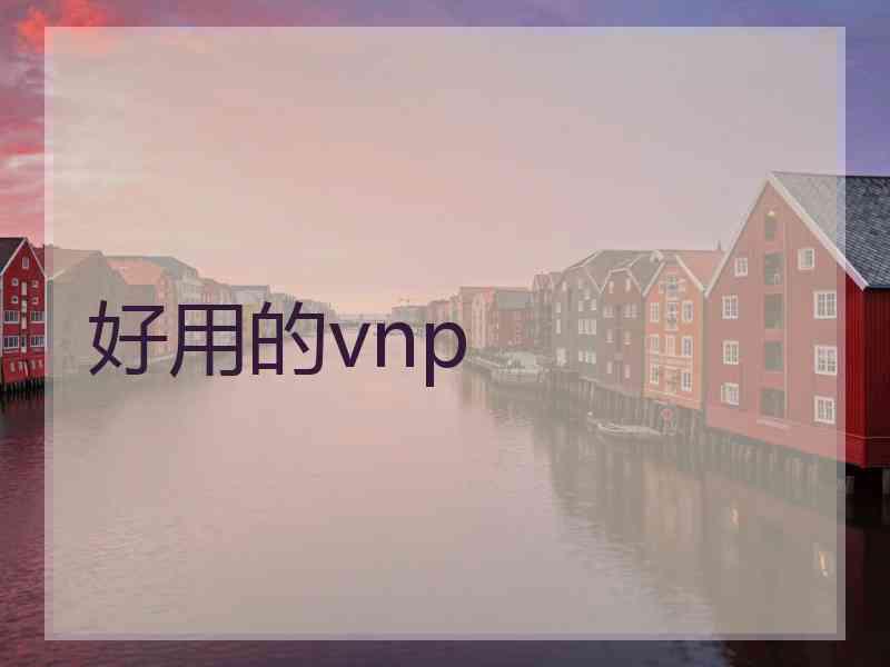 好用的vnp