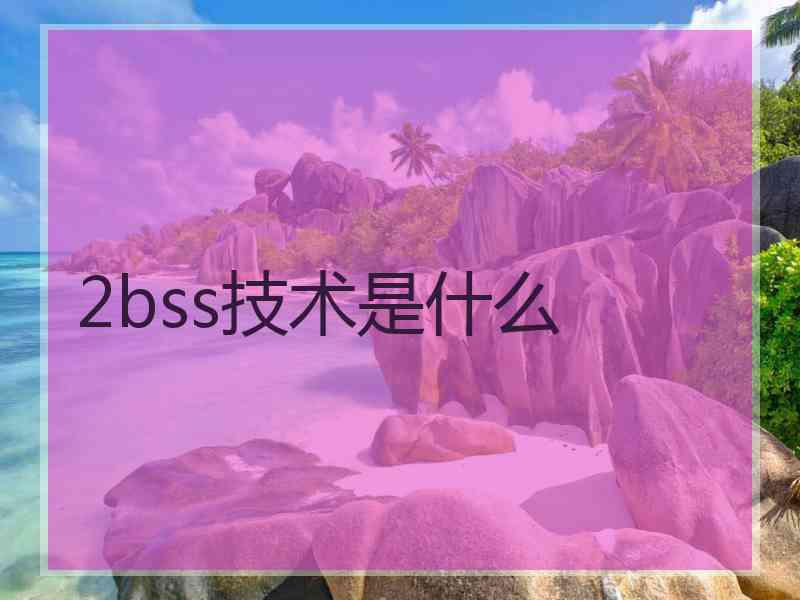 2bss技术是什么