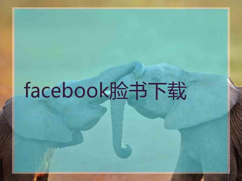 facebook脸书下载