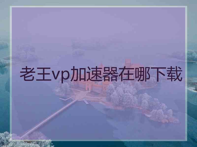 老王vp加速器在哪下载