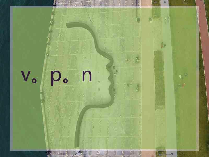 v。p。n