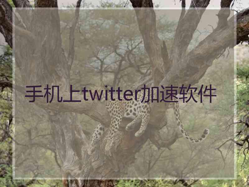 手机上twitter加速软件