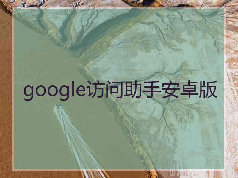 google访问助手安卓版