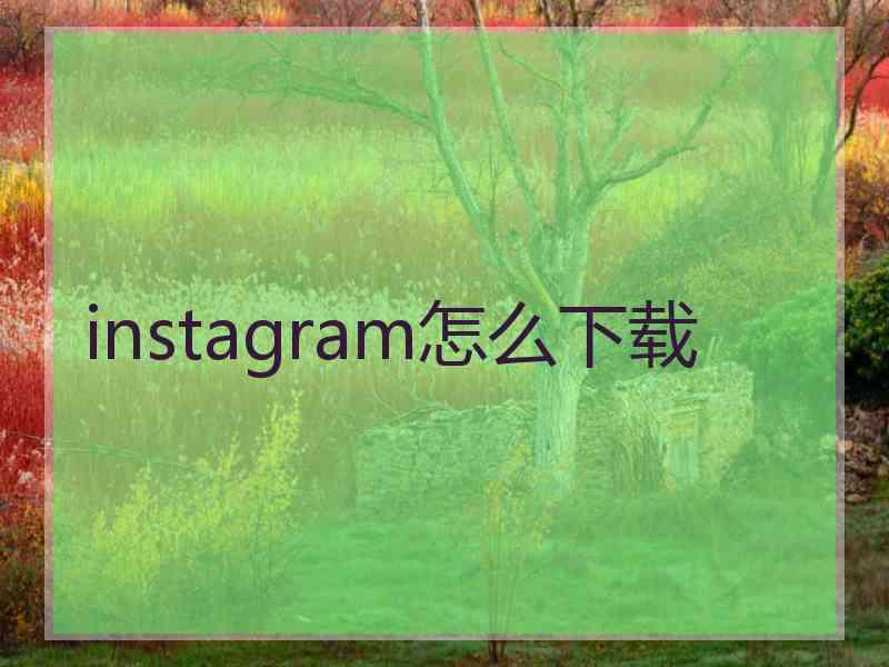 instagram怎么下载