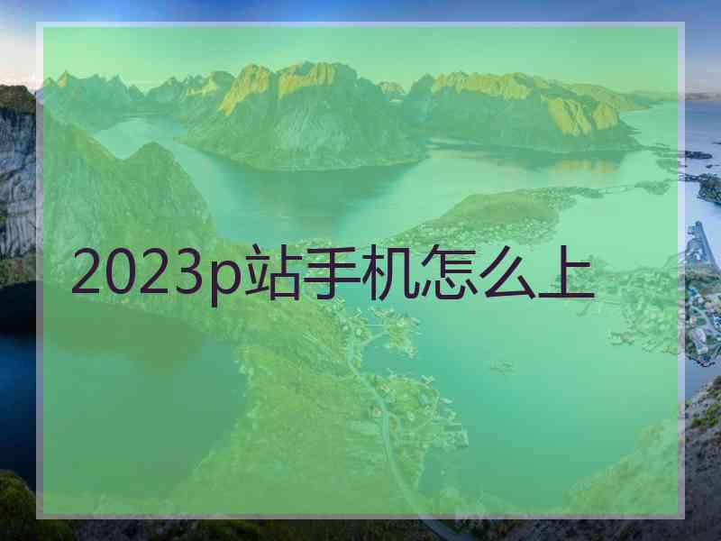 2023p站手机怎么上