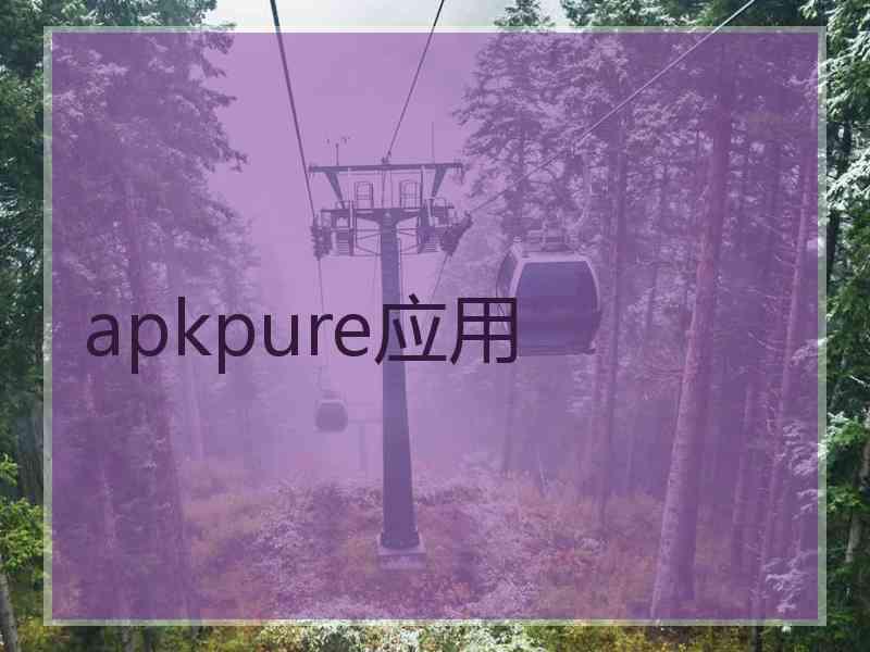 apkpure应用