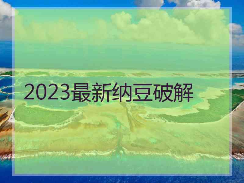 2023最新纳豆破解