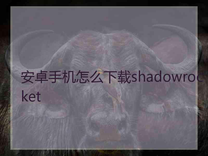 安卓手机怎么下载shadowrocket